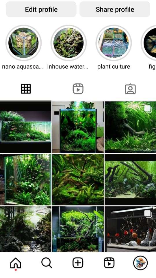 Home img 20241216 wa0012.jpg